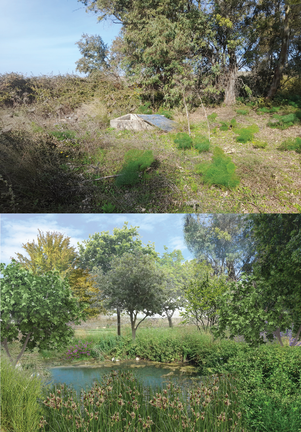תכנון נחלים- שחרור מעיינות